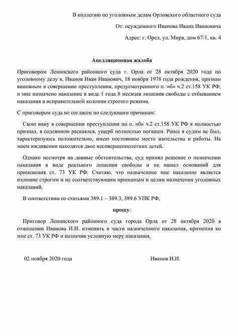 Как сформулировать аргументы в апелляционной жалобе